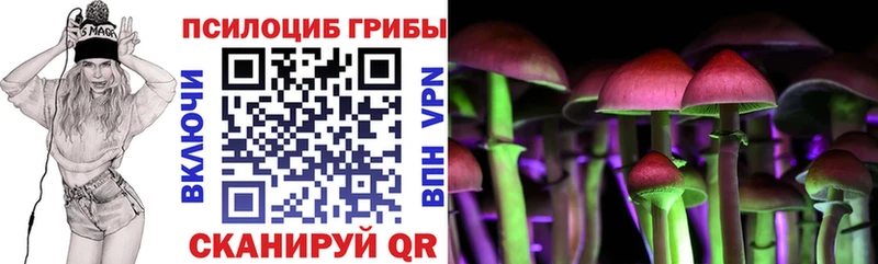 Купить  Борисоглебск  Псилоцибиновые грибы MAGIC MUSHROOMS 